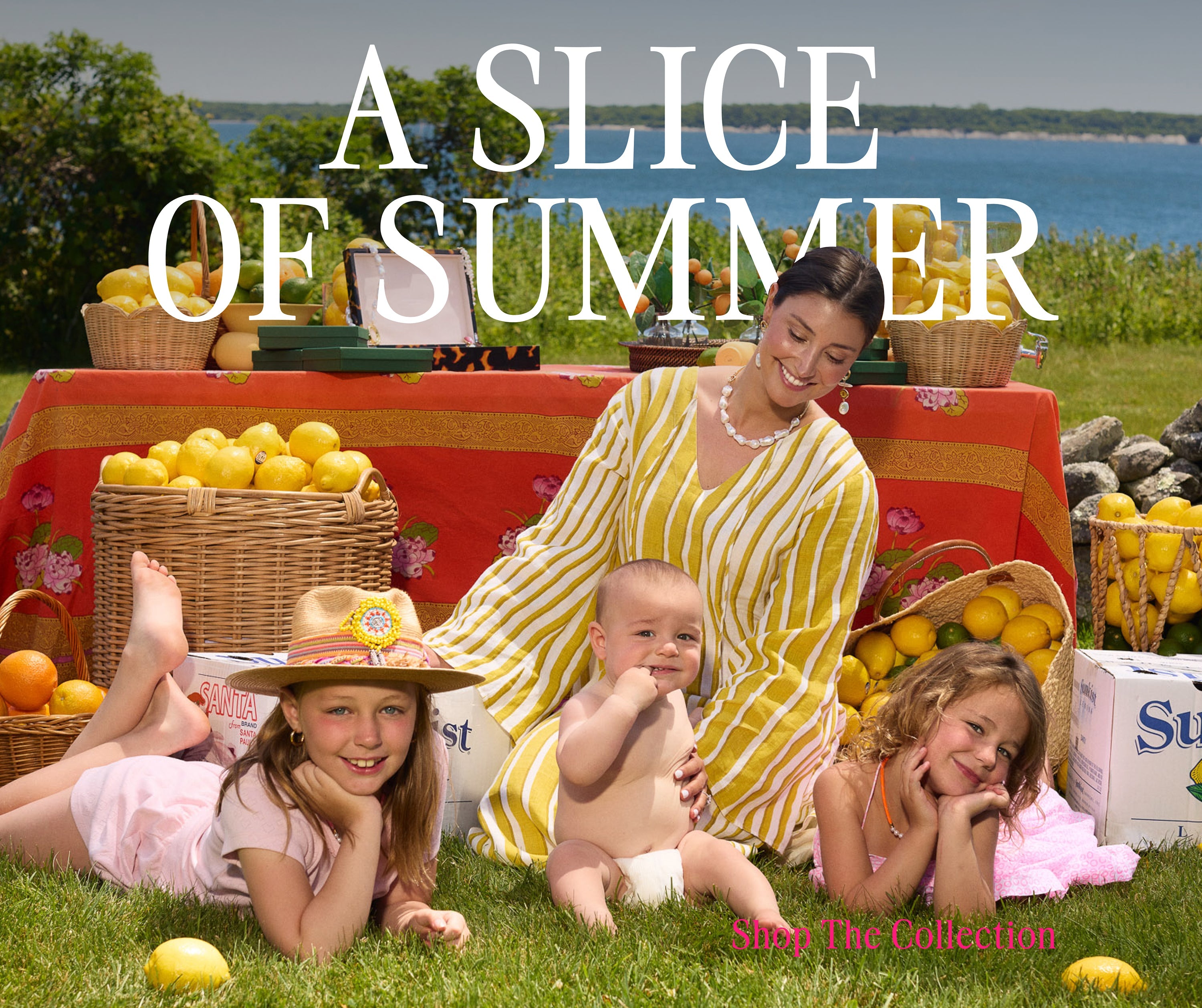Slice of Summer
